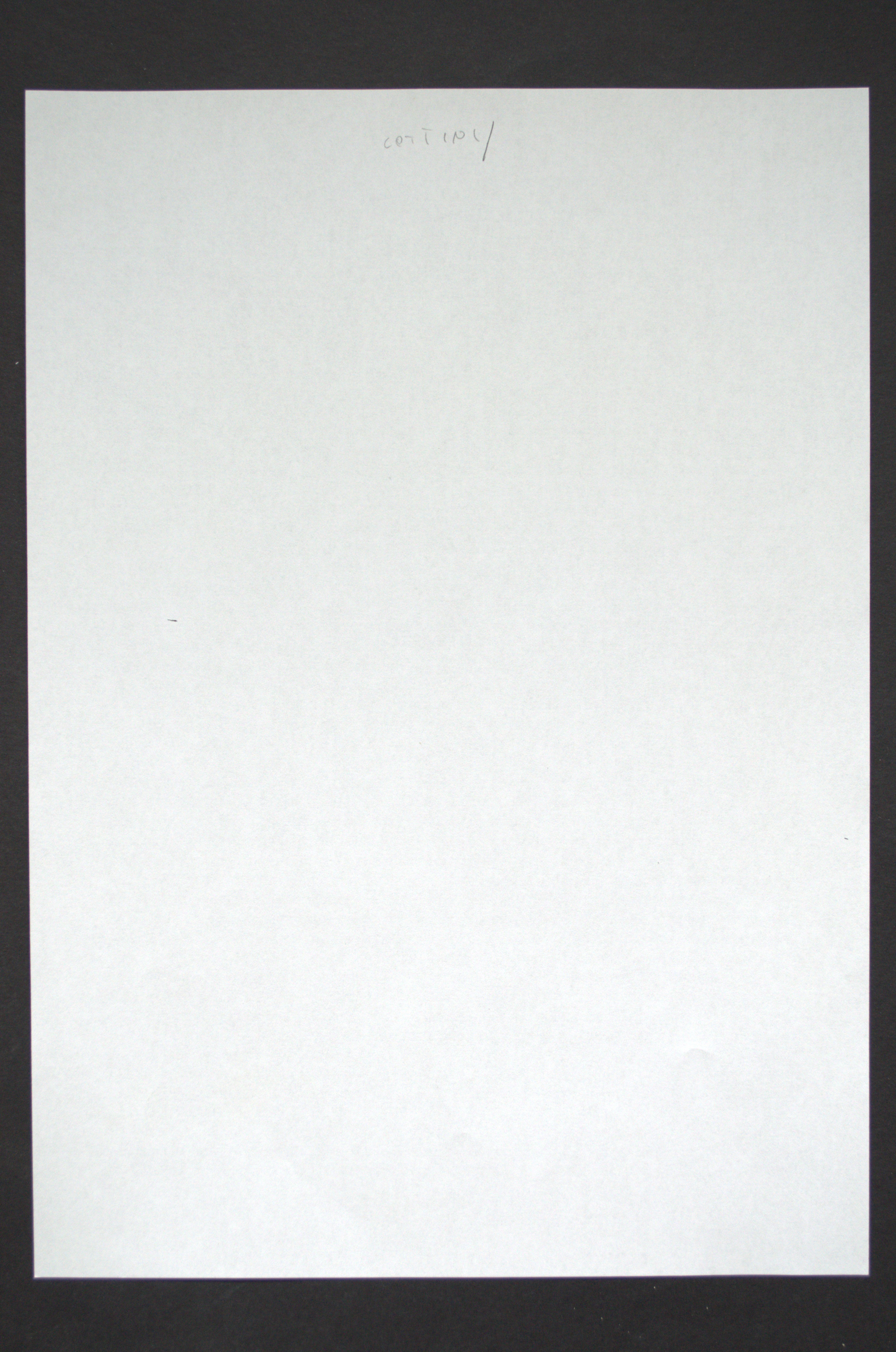 [BLANK]