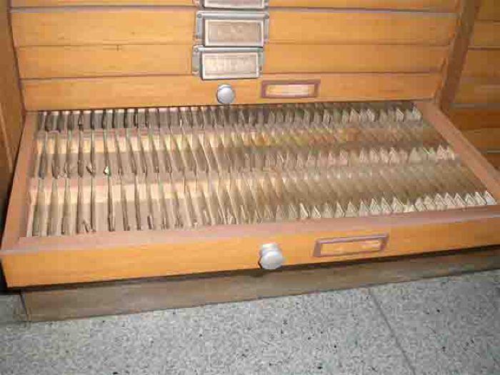 I vetrini istologici di neuropatologia dell’Istituto neurologico Carlo Besta