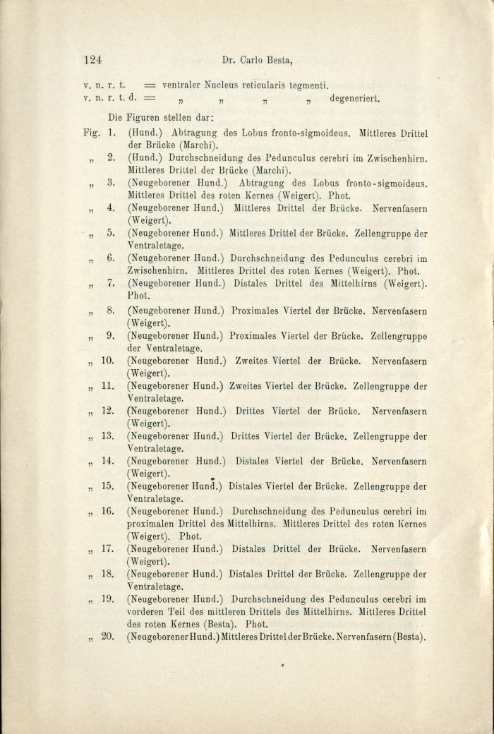 Besta, "Ueber die zerebro-zerebellaren Bahnen. Experimentelle Untersuchungen", 1912, p. 124 (Archivio dell’Istituto Besta)