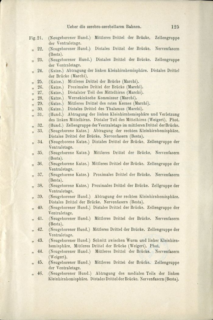 Besta, "Ueber die zerebro-zerebellaren Bahnen. Experimentelle Untersuchungen", 1912, p. 125 (Archivio dell’Istituto Besta)