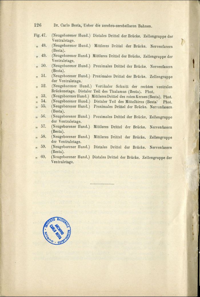 Besta, "Ueber die zerebro-zerebellaren Bahnen. Experimentelle Untersuchungen", 1912, p. 126 (Archivio dell’Istituto Besta)