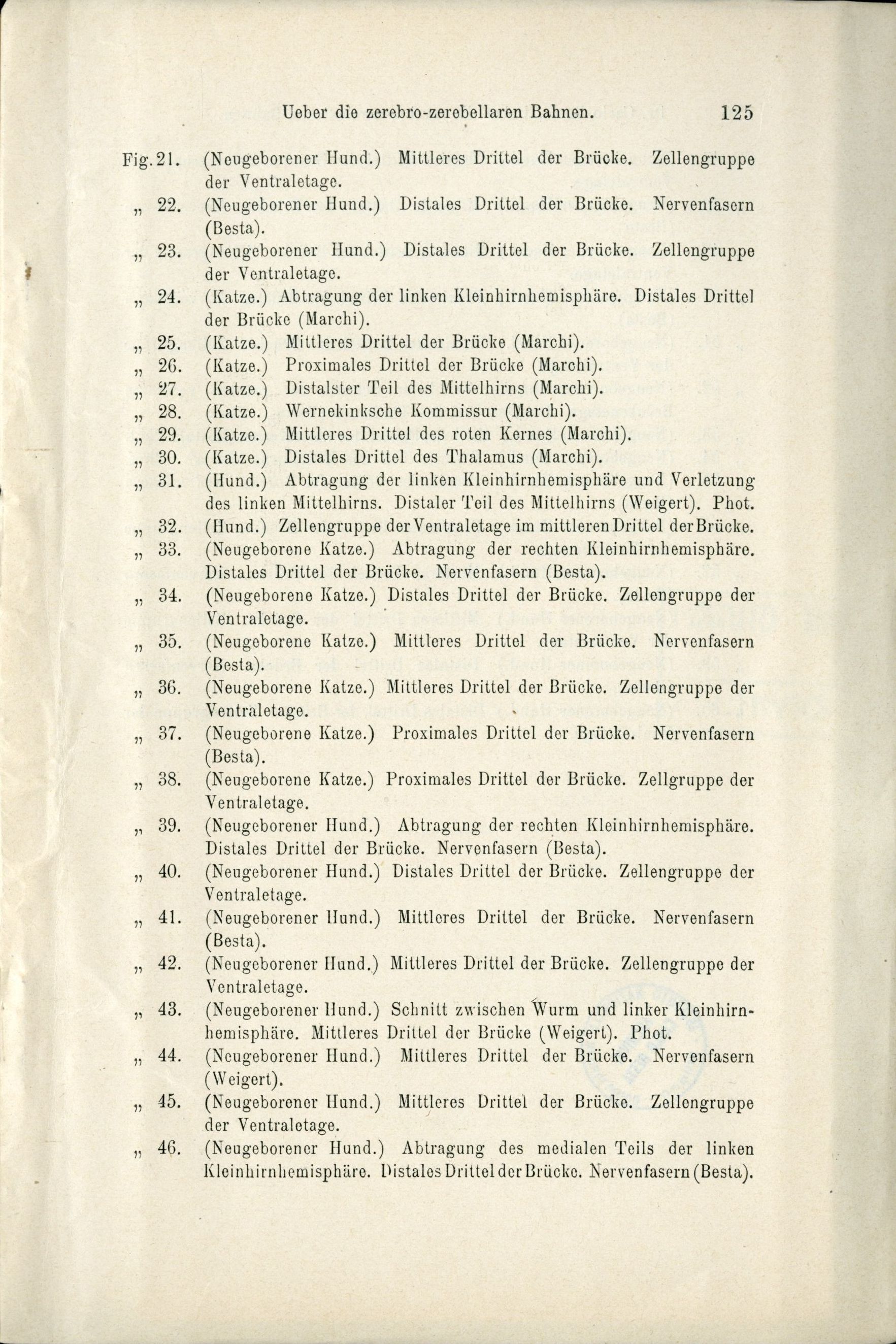 Besta, "Ueber die zerebro-zerebellaren Bahnen. Experimentelle Untersuchungen", 1912, p. 125 (Archivio dell’Istituto Besta)