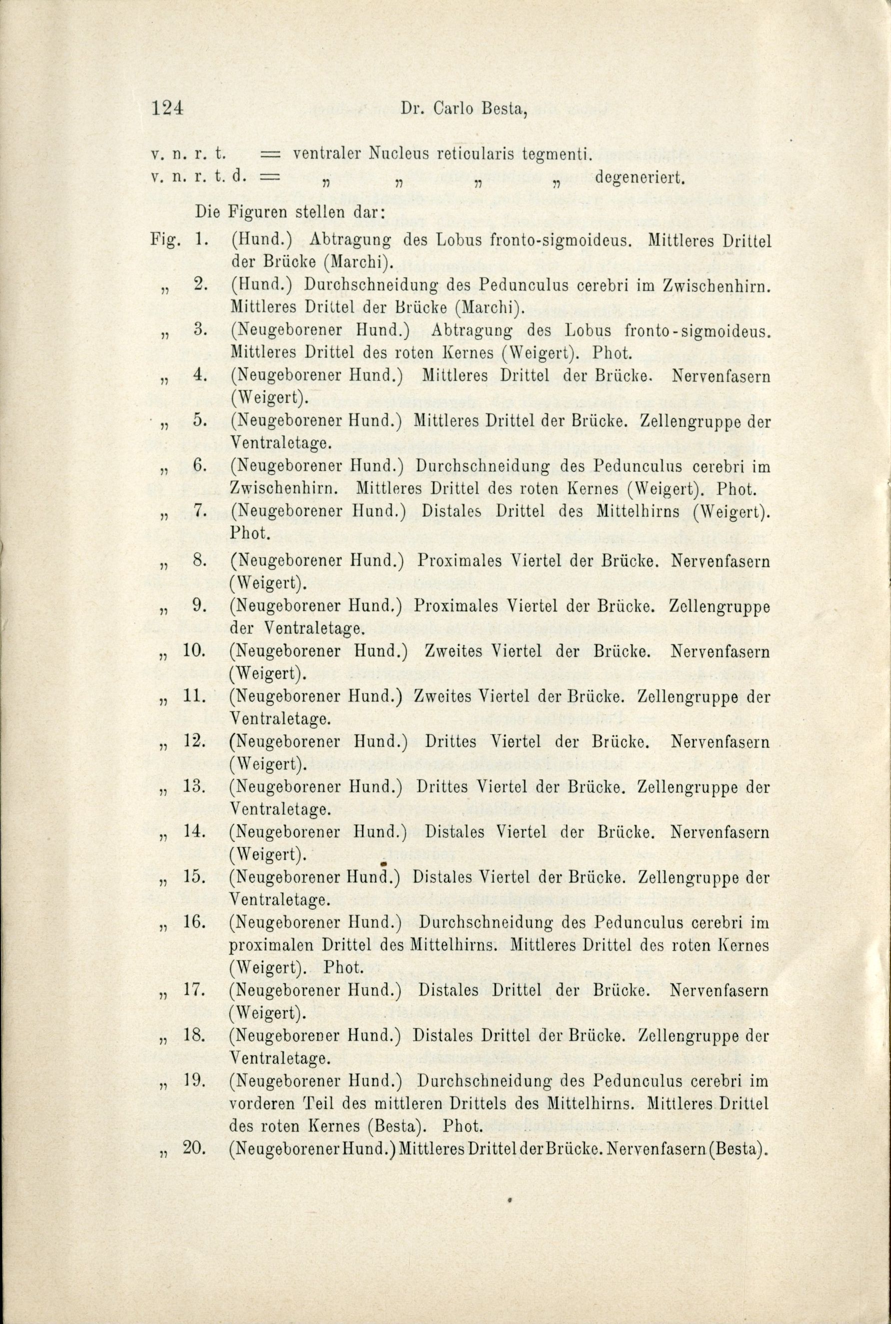Besta, "Ueber die zerebro-zerebellaren Bahnen. Experimentelle Untersuchungen", 1912, p. 124 (Archivio dell’Istituto Besta)