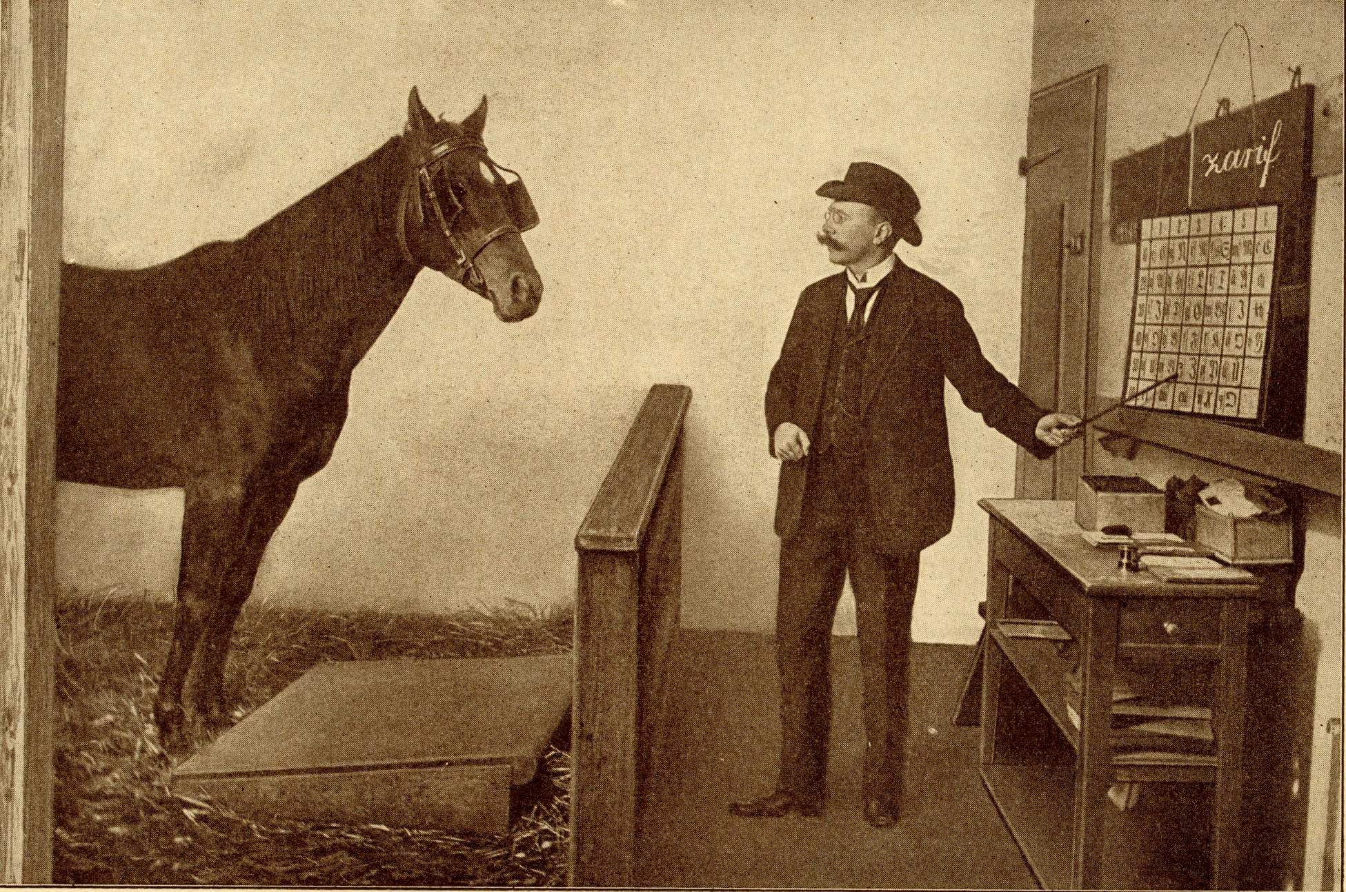 “Il  cavallo Zarif impara a sillabare” (dal libro di Karl Krall "Denkende Tiere", 1912, p. 192)