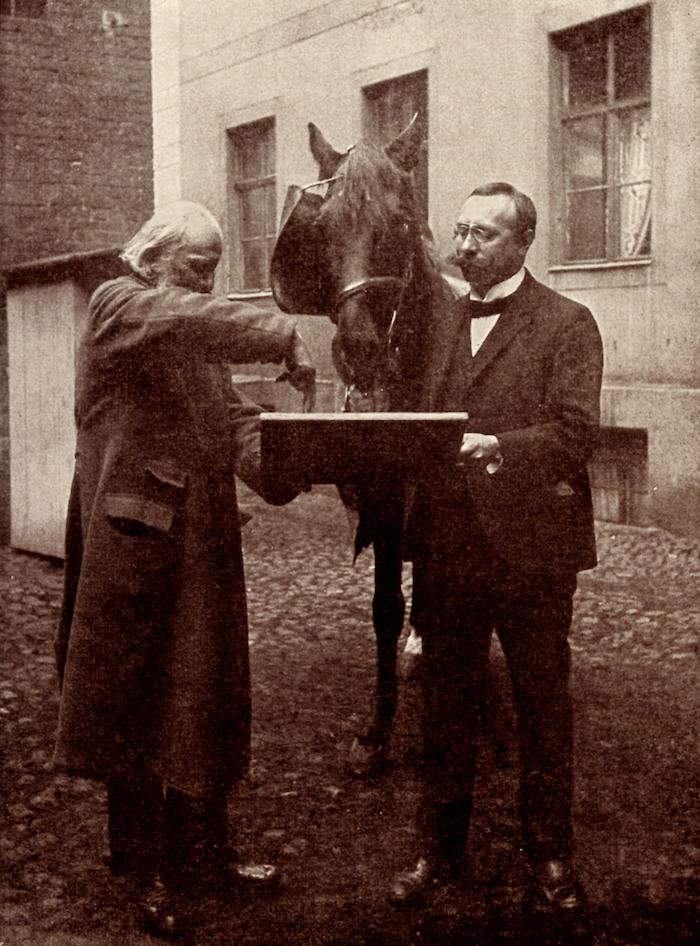 “Tentativi di autoconsapevolezza” (dal libro di Karl Krall "Denkende Tiere", 1912, p. 78)