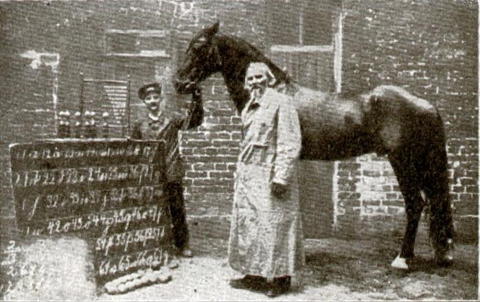 Il cavallo Hans davanti alla tabella ortografica, con Wilhelm von Osten (dal libro di Karl Krall "Denkende Tiere", 1912, p. 81)