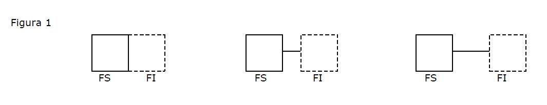Movimento gamma polarizzato - Fig. 1 - Distanza tra la figura stabilmente esposta nel campo (FS) e la figura insorgente (FI)