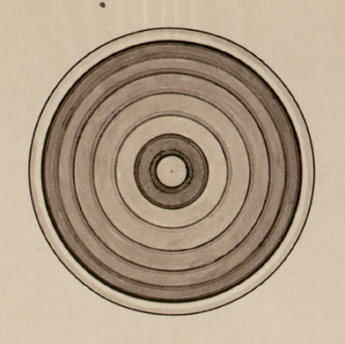 Resa percettiva quando il disco della figura precedente è posto in rotazione