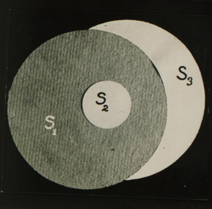 Studio di un fenomeno stereocinetico (Aspi, fondo Benussi)
