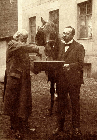 Immagine dal libro di Karl Krall Denkende Tiere (1912)