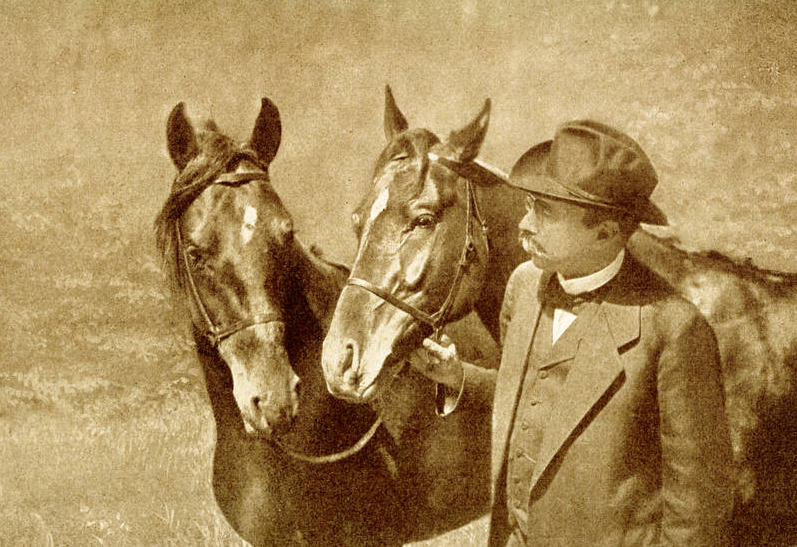 Immagine dal libro di Karl Krall Denkende Tiere (1912)